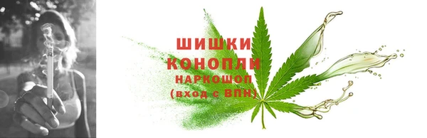 индика Бородино